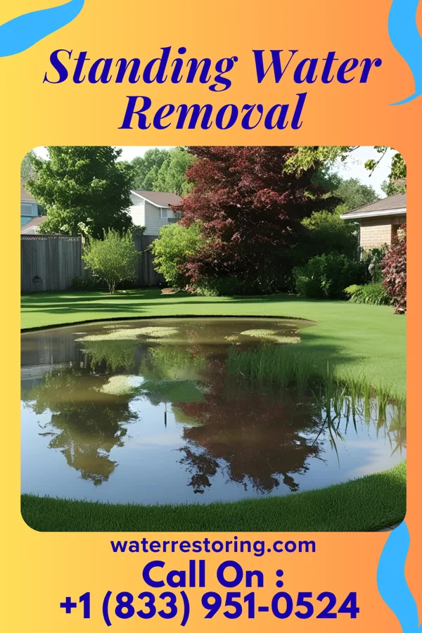 Standing Water Removal in Cuyuna, MN